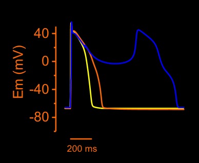 Tristani Lab Volatage Graphic