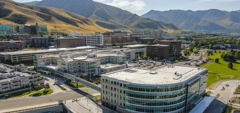 Tristani Lab University of Utah PCH Graphic