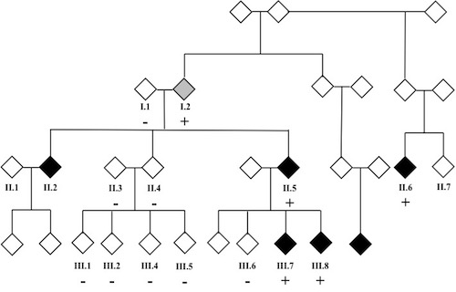 Tristani Lab Research Chart WPW Pedigree