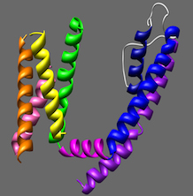 Tristani Lab Pathology and DNA Graphic
