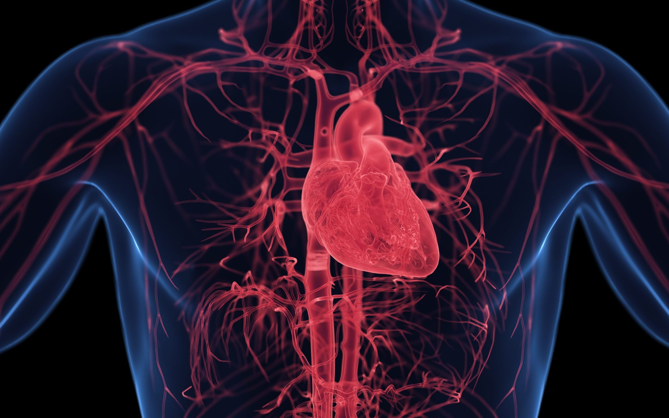 Breaking Down Options for Cardiomyopathy Treatment