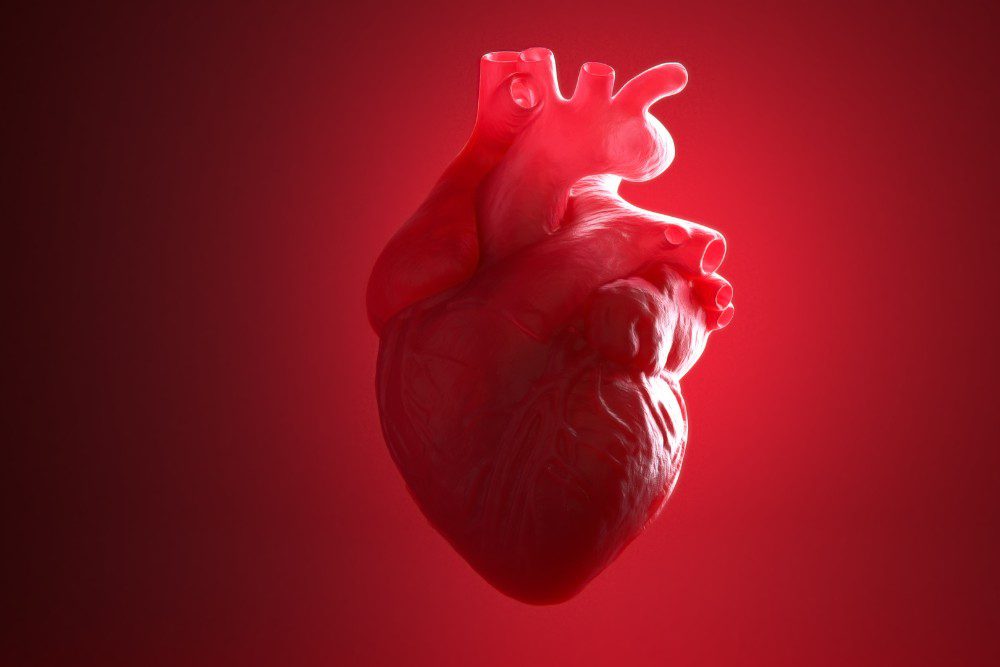 How Childhood and Young Adult Health Shapes Heart Disease Risk Later in Life