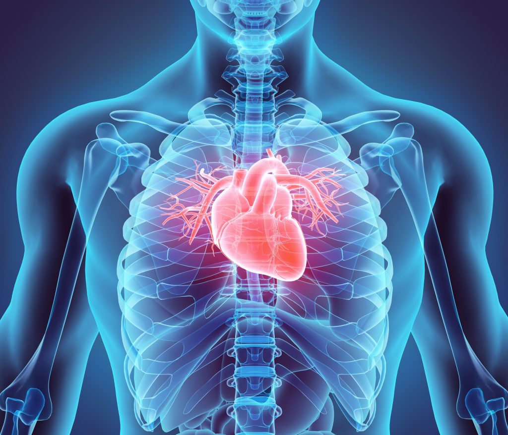 Blue Body with a Heart with Arrhthmogenic Cardiomyopathy 