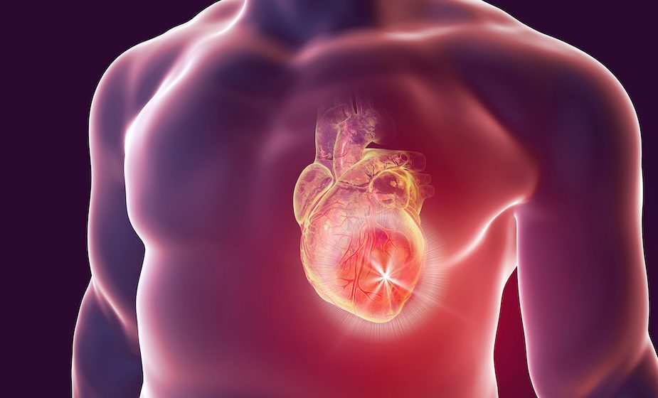 Red Transparent Body with Heart - What Is Myocardial Recovery Graphic