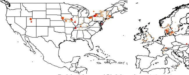 World Migration Graphic Tristani Lab