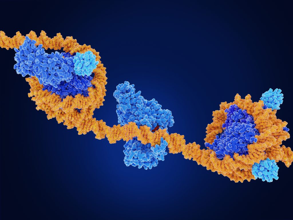 Strand of DNA on a Blue Background Graphic