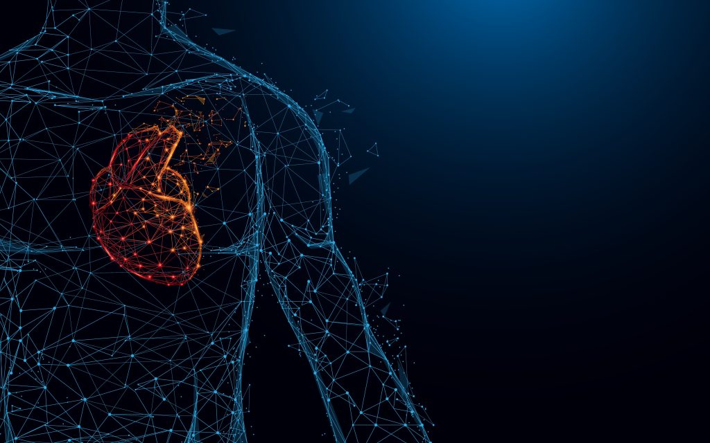 Human Body with Red Heart made up of nodes