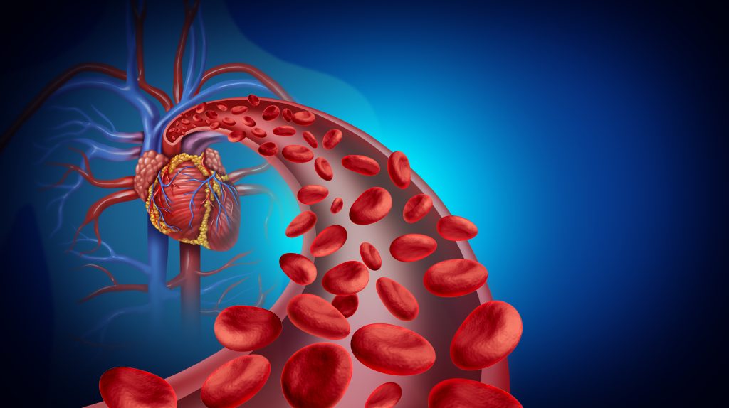 Heart blood circulation and cardiovascular system health symbol with red cells flowing through veins from the human circulatory system as a symbol of cardiology  with 3D illustration elements.