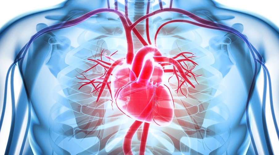 top causes of heart disease