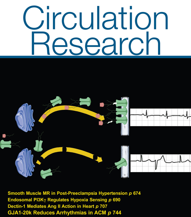 Circulation Research Cover Graphic
