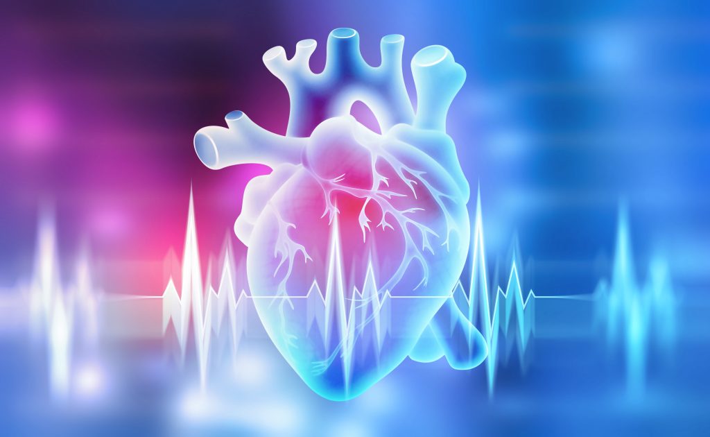 The Role of Lifestyle Factors in Myocardial Recovery: Nurturing Your Heart Back to Health