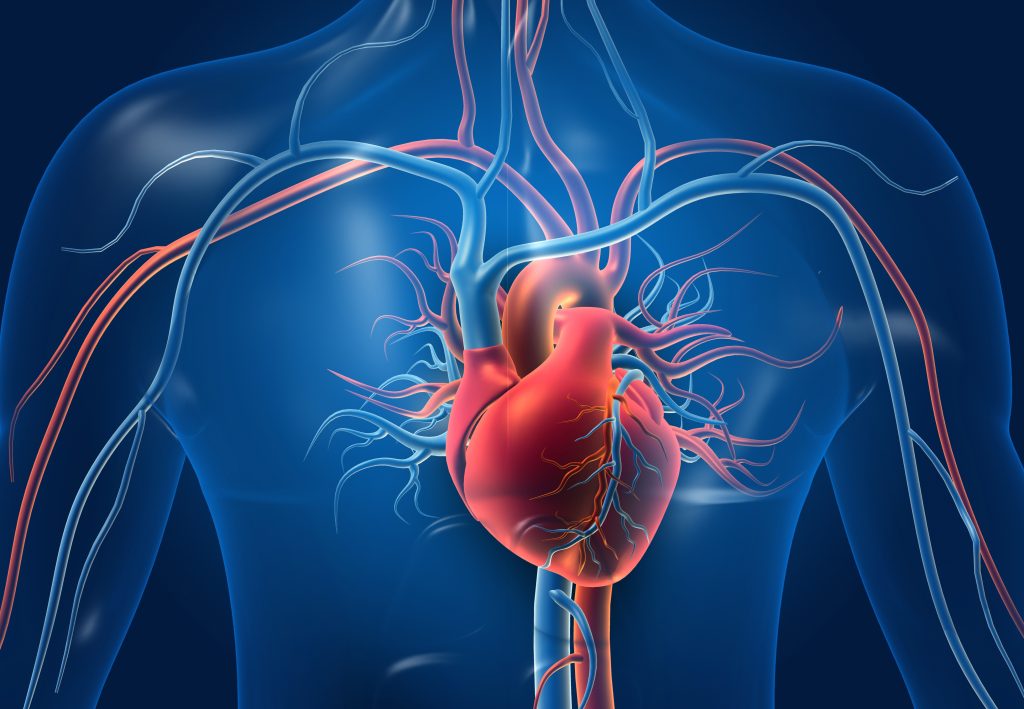 Lifestyle Interventions for Cardiac Metabolism