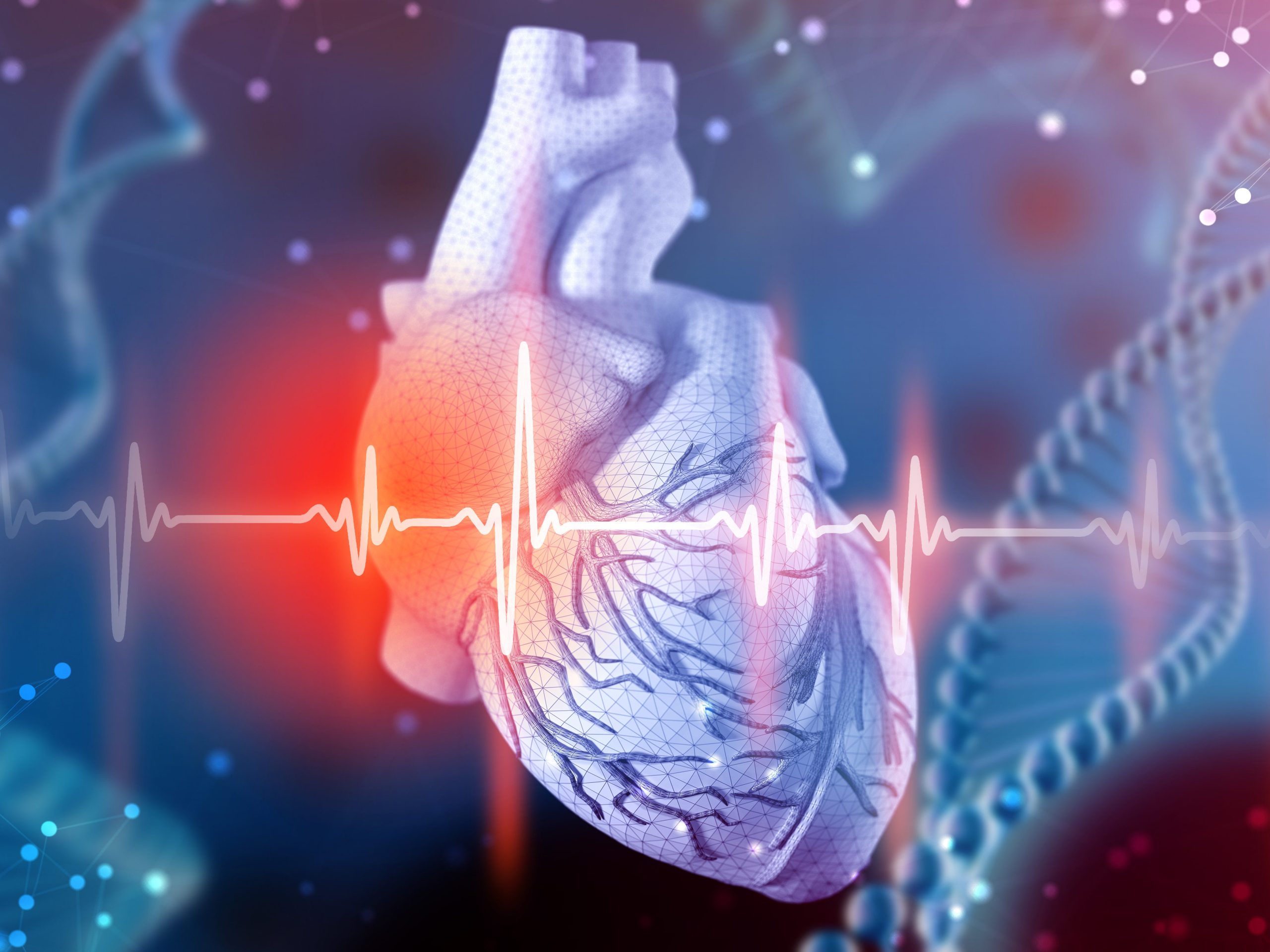 3d illustration of human heart and cardiogram with mesh texture modeling on abstract futuristic blue background. Concept of digital technologies in medicine – Myocardial Recovery Therapy