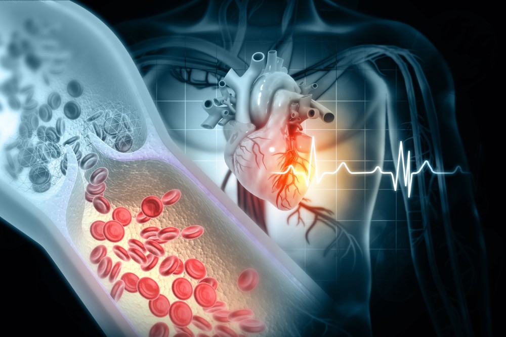 cell and heart