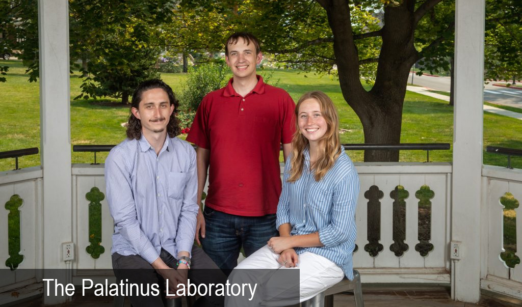 Palatinus Lab