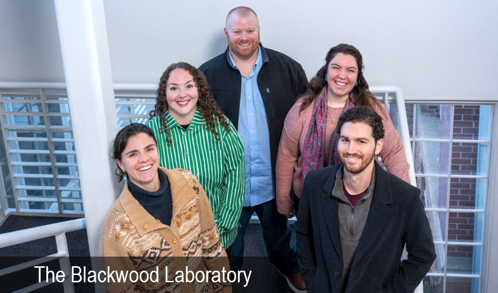 blackwood lab image