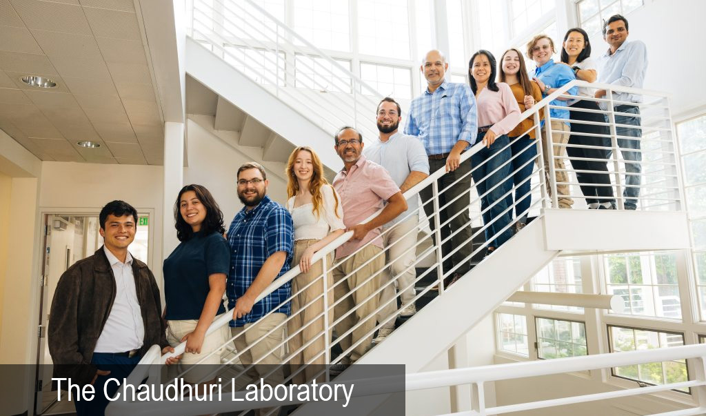 Chaudhuri Lab