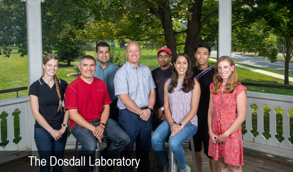 Dosdall Lab