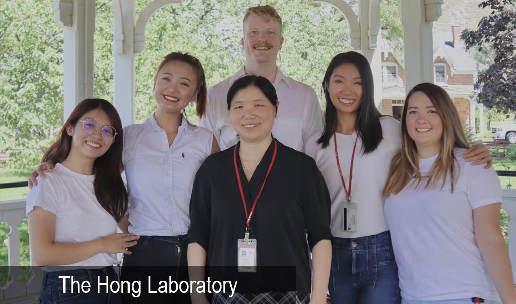Hong Lab