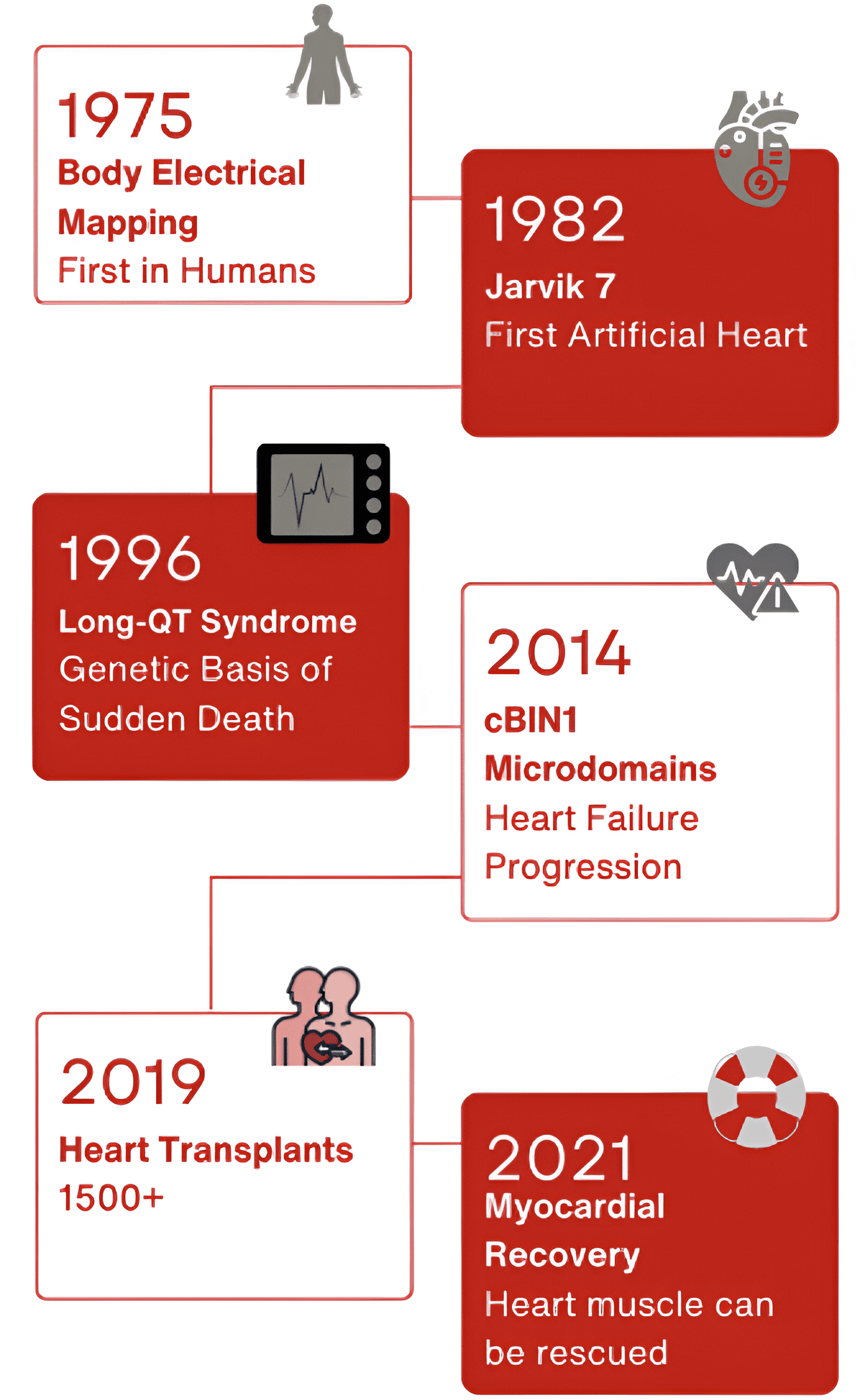 A timeline highlights milestones in heart research from 1975 to 2021, including body electrical mapping, first artificial heart, genetic breakthroughs, heart transplants, and advances in heart failure and muscle recovery.