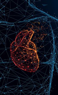 Digital illustration of a human heart made from glowing red and orange lines and dots, set within an abstract outline of a human chest created from blue networked lines on a dark background.