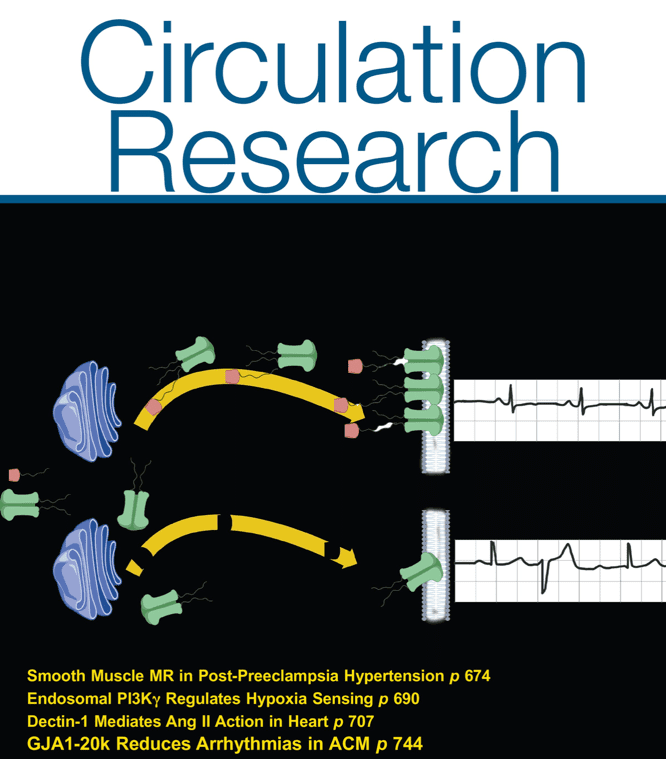 Cover of Circulation Research journal featuring molecular diagrams, ECG traces, and article titles related to hypertension, hypoxia sensing, heart action, and arrhythmias on a black background.