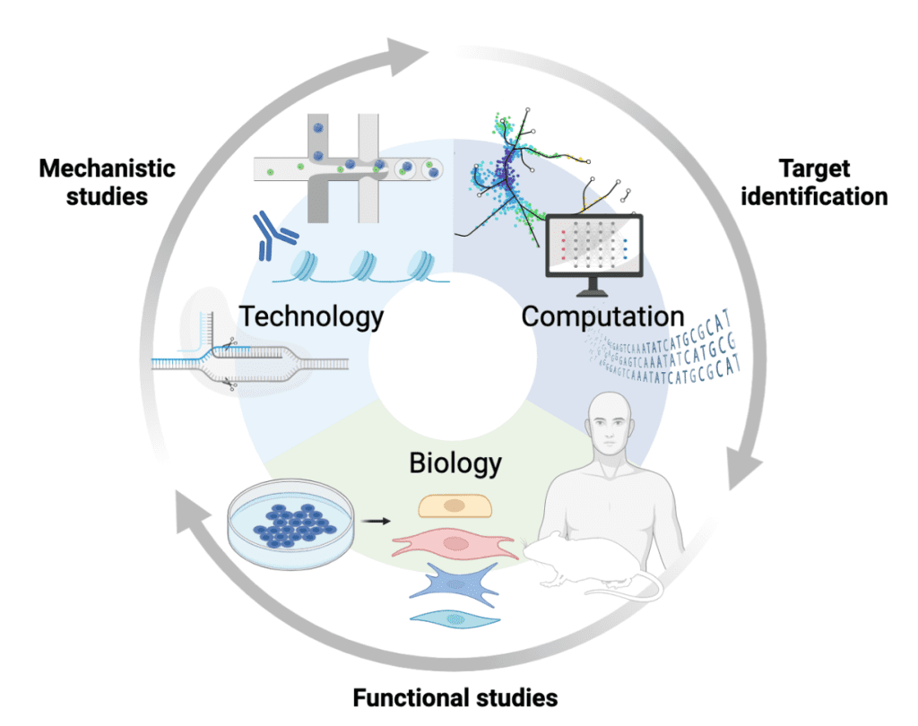 A circular flowchart with sections labeled Technology, Computation, and Biology, illustrating a cycle from mechanistic studies to target identification to functional studies, with related scientific icons in each section.